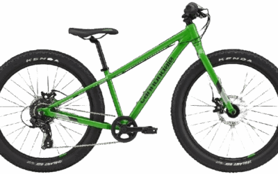 Location vélo électrique à Porquerolles